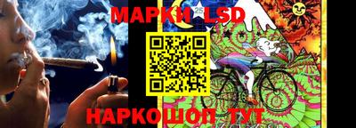 СК Новодвинск