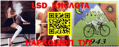СК Новозыбков