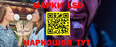 СК Новозыбков