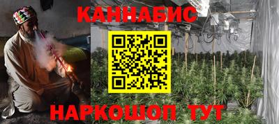 СК Новодвинск