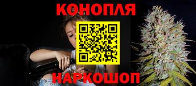 СК Новодвинск