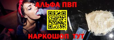 СК Новодвинск