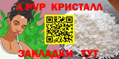 СК Новозыбков
