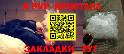 СК Новозыбков
