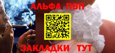 СК Новодвинск