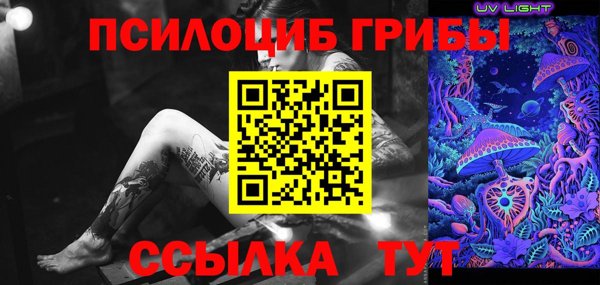 Сухой Лог  Псилоцибиновые грибы Cubensis  Вход с VPN 